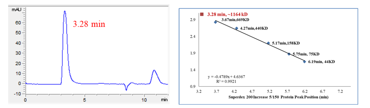 USP44 Protein