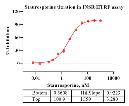 INSR Protein