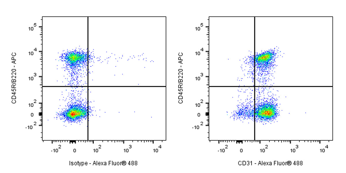 Alexa Fluor® 488 Rat Anti-Mouse CD31 Antibody (MEC13.3)