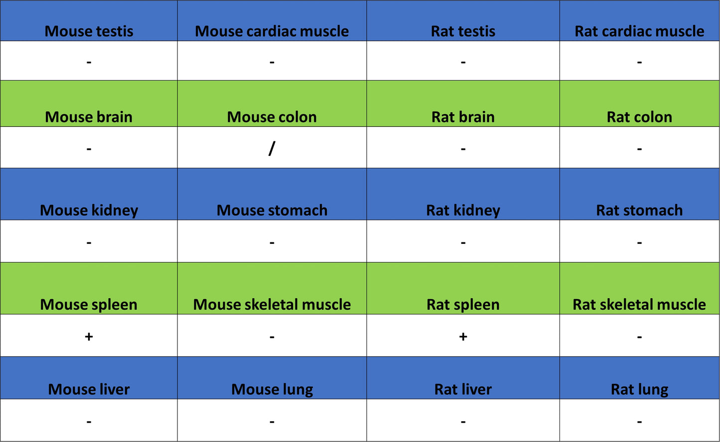 CD134 Recombinant Rabbit mAb (S-4797)