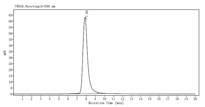 IFN-alpha/beta R1 His Tag Protein, Human
