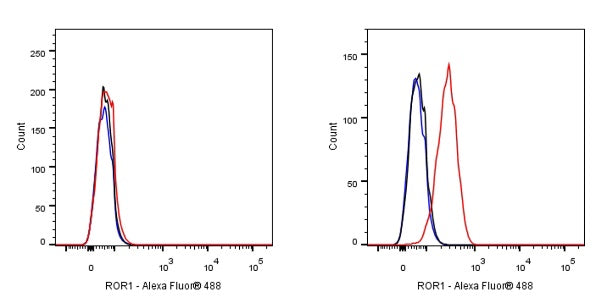 ROR1 Recombinant Rabbit mAb (SDT-R502-2)