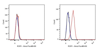 ROR1 Recombinant Rabbit mAb (SDT-R502-2)