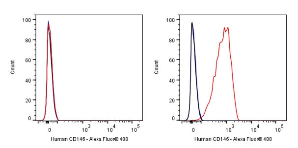 Mouse Anti-Human CD146 Antibody (S-3679)