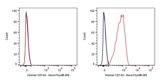 Mouse Anti-Human CD146 Antibody (S-3679)