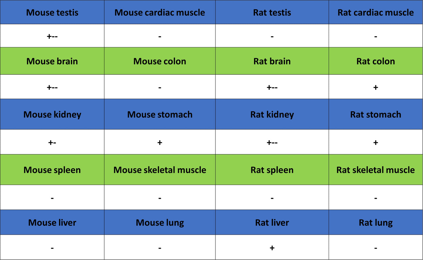 Phospho-p44/42 MAPK (Erk1/2) (Thr202/Tyr204) Recombinant Rabbit mAb (S-5119)