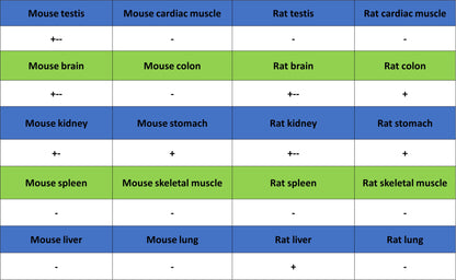 Phospho-p44/42 MAPK (Erk1/2) (Thr202/Tyr204) Recombinant Rabbit mAb (S-5119)