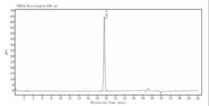 VZVgE Flag Tag Protein