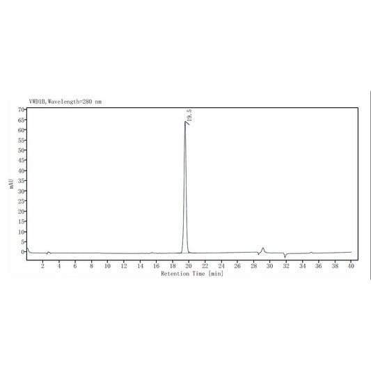 Product image media