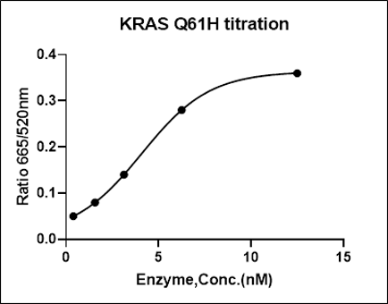 KRAS [Q61H] Avi&His Tag Protein, Human(Load GDP/GMPPNP)