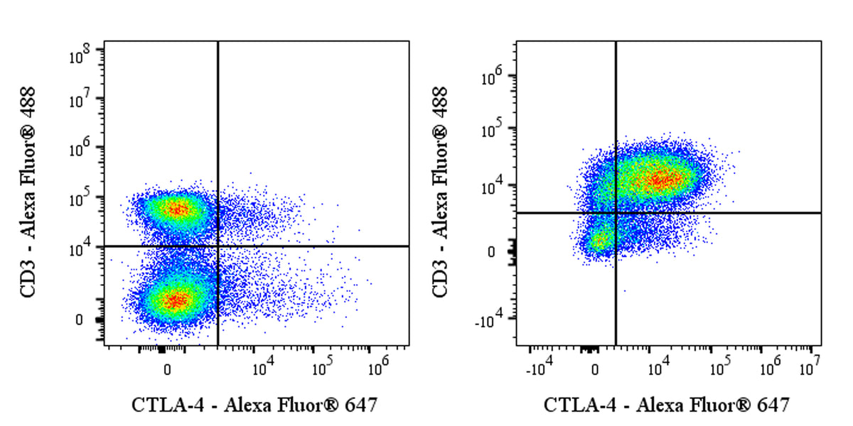 Alexa Fluor® 647 Armenian hamster Anti-Mouse CTLA-4 (CD152) Antibody (UC10-4F10-11)
