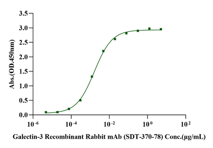 Galectin-3 Protein, Human