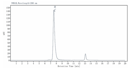 NEK7 GST Tag Protein, Human