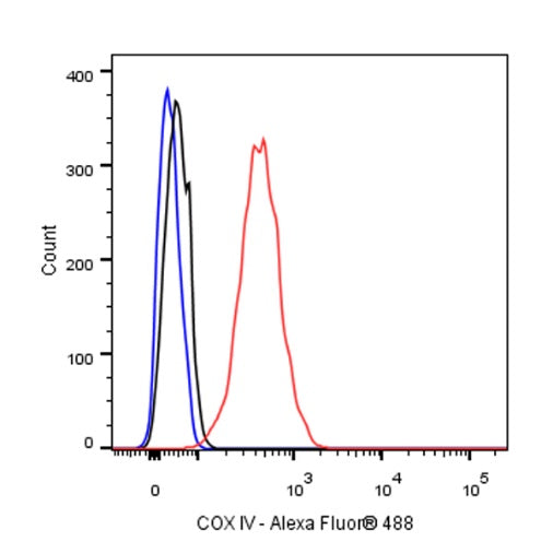 COX IV Rabbit polyclonal antibody