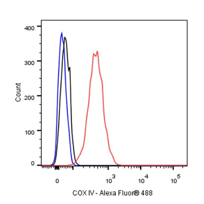 COX IV Rabbit polyclonal antibody