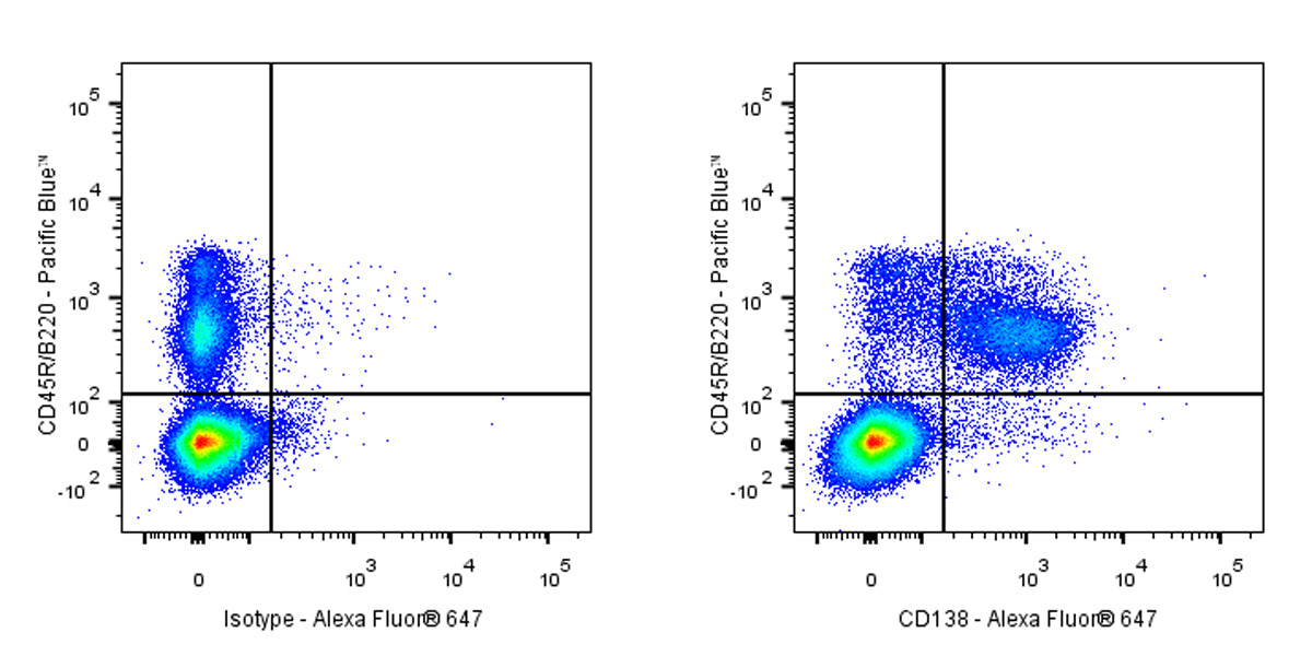 Rat Anti-Mouse CD138 Antibody (S-R514)