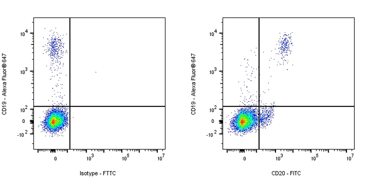 FITC Mouse Anti-Human CD20 Antibody (2H7)