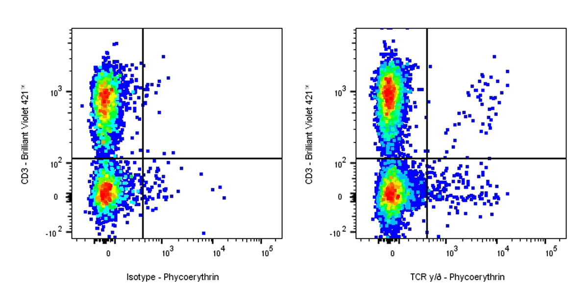 Armenian Hamster Anti-Mouse TCR γ/δ Antibody (S-R525)