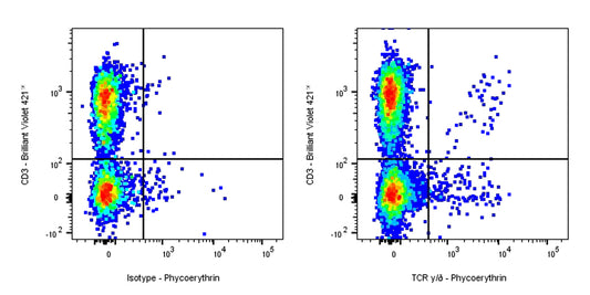 Armenian Hamster Anti-Mouse TCR γ/δ Antibody (S-R525)