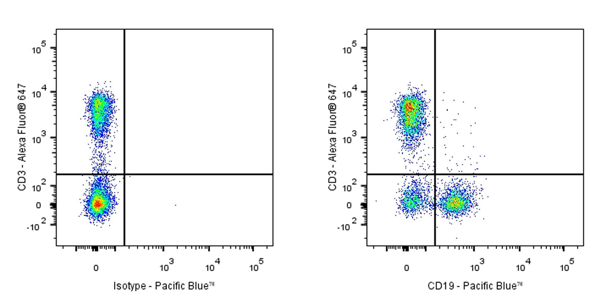 Pacific Blue Rat Anti-Mouse CD19 Antibody (1D3)
