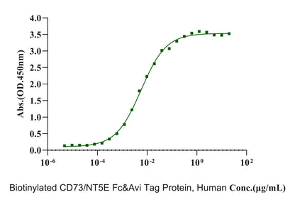 Biotinylated CD73/NT5E Fc&Avi Tag Protein, Human
