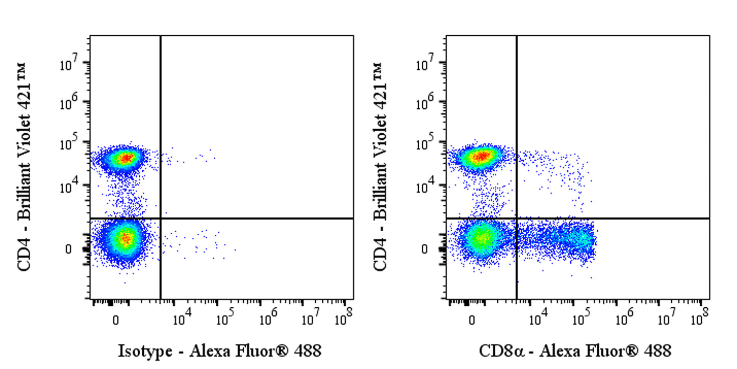 Alexa Fluor® 488 Mouse Anti-Human CD8α Antibody (OKT-8)
