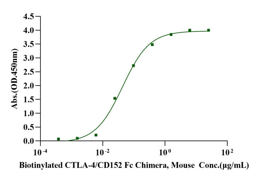 B7-2/CD86 Fc Chimera Protein, Mouse