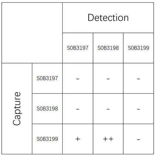 ACTH Recombinant Rabbit mAb (SDT-362-51-2)