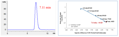 NMT1 Protein, Human