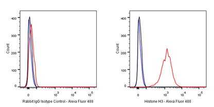 Rabbit mAb IgG Isotype Control (SDT-R173)