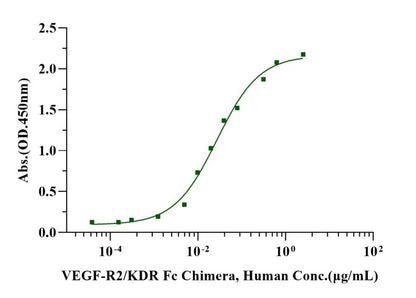 VEGF165 Protein, Human