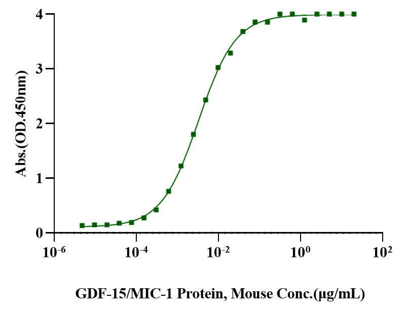 GDF-15/MIC-1 Protein, Mouse