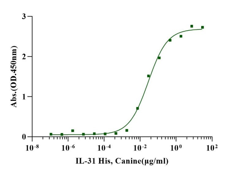 IL-31 Protein, Canine