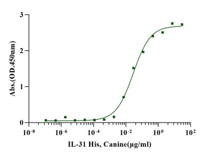 IL-31 Protein, Canine