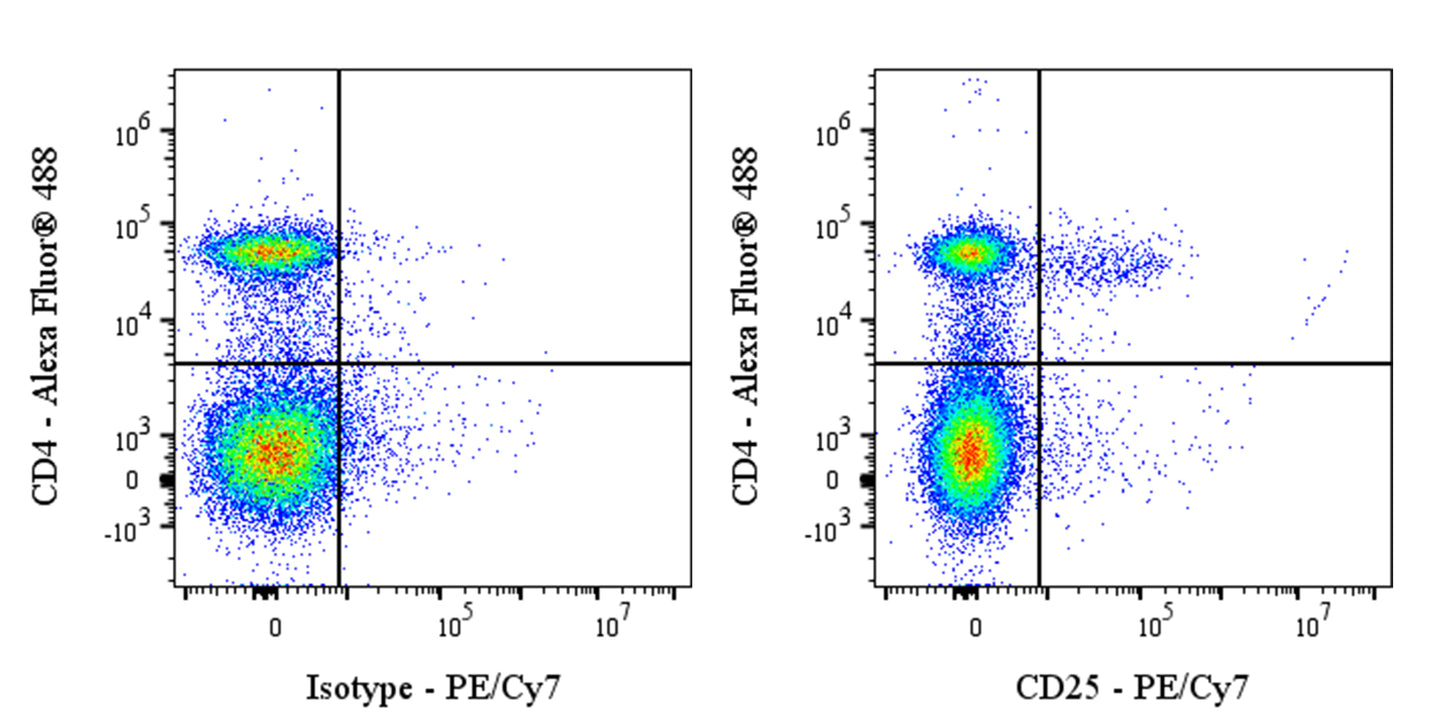 PE-Cy7 Rat Anti-Mouse CD25 Antibody (PC-61.5.3)