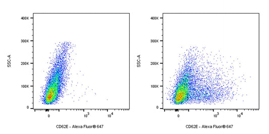 Mouse Anti-Human CD62E Antibody (S-2909)