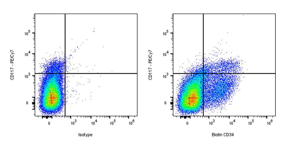Biotin Rat Anti-Mouse CD34 Antibody (RAM34)