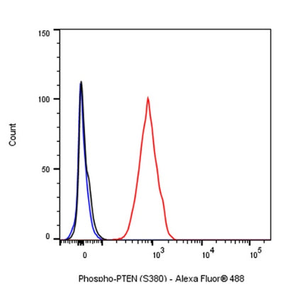 Phospho-PTEN (S380) Recombinant Rabbit mAb (S-1165-163)