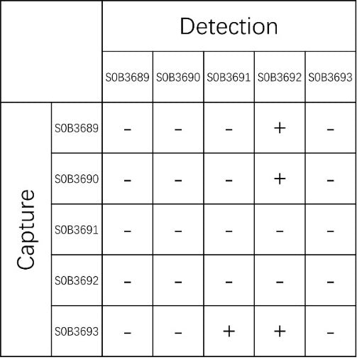 Mouse C5a Recombinant mAb (SDT-2557-122)