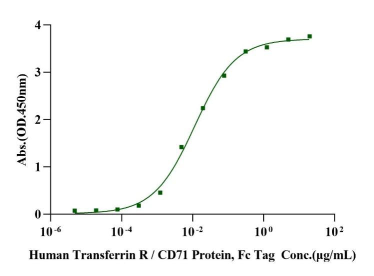 Biotinylated Transferrin His&Avi Tag Protein, Human