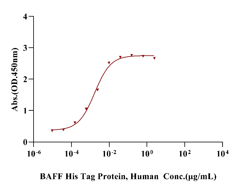 TACI/CD267/TNFRSF13B Fc Chimera Protein, Human
