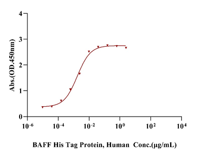 TACI/CD267/TNFRSF13B Fc Chimera Protein, Human
