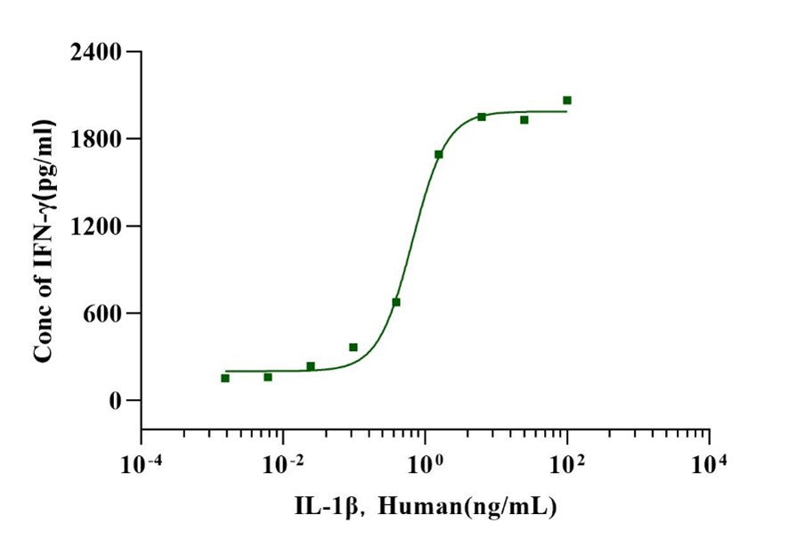 IL-1β Protein, Human
