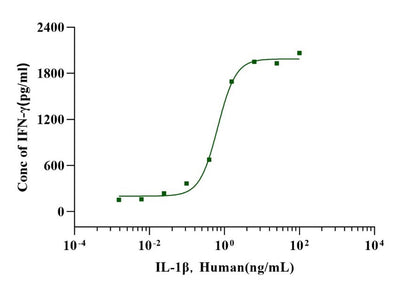 IL-1β Protein, Human
