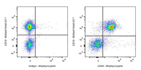 APC Rat Anti-Mouse CD40 Antibody (FGK4.5)