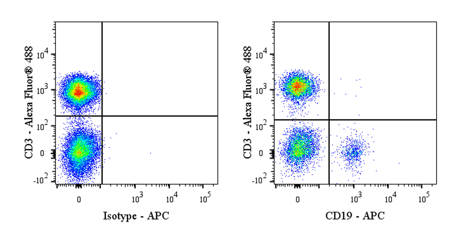APC Mouse Anti-Human CD19 Antibody (HIB19)