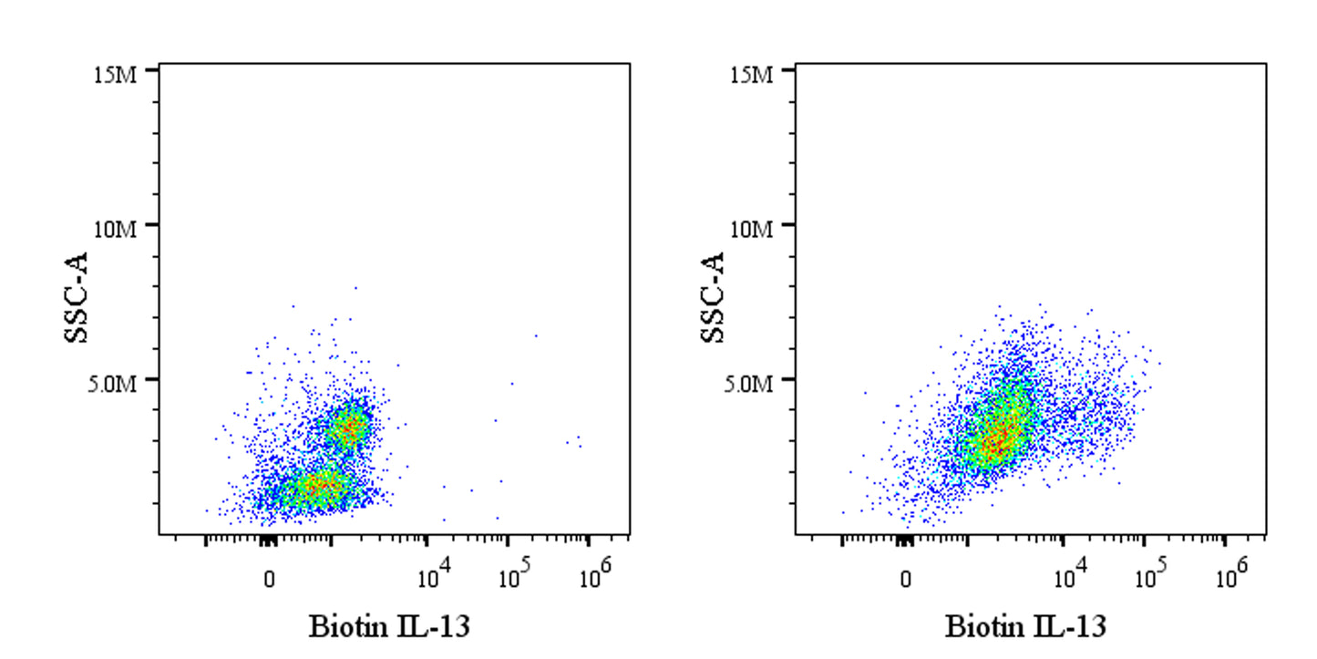 Biotin Rat Anti-Human IL-13 Antibody (S-4442)