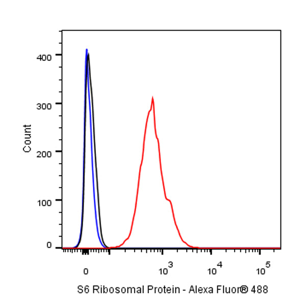 S6 Ribosomal Protein Recombinant Rabbit mAb (S-479-1)