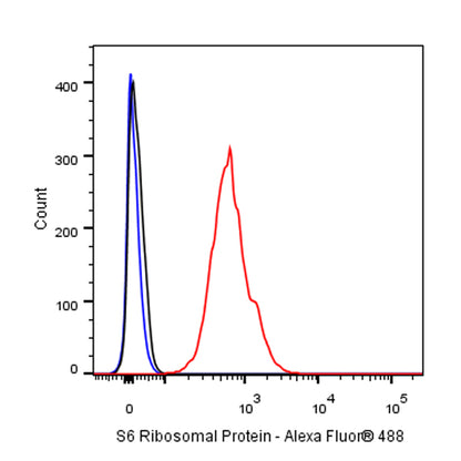 S6 Ribosomal Protein Recombinant Rabbit mAb (S-479-1)