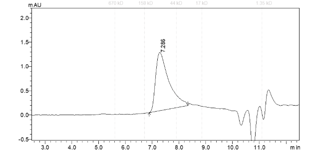 WRN Protein,Human